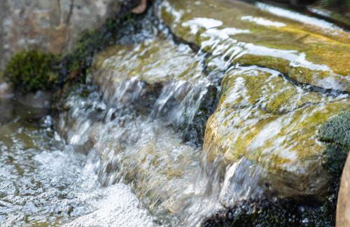 The Garden House - Photo 56