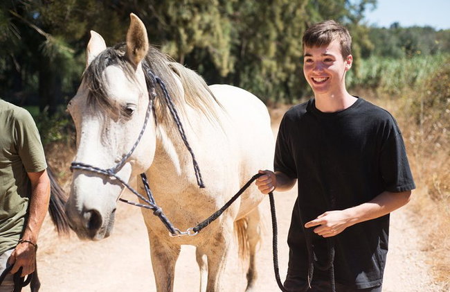 Santuario de Caballos: Un paseo por la naturaleza con Caballos Rescatados a tu lado - Foto 6