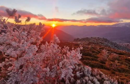 Casas Rurales Carroyosa del Jerte - Foto 39