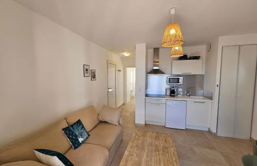 Superbe appartement vue mer terrasse couverte face à la mer - Foto 13