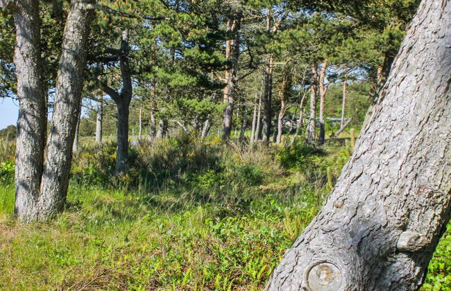 "Hatem" - 200m from the sea - Foto 16