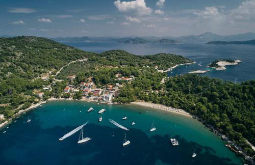 Apartments Pitarević - Photo 18