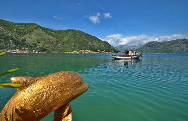 Apartments Corovic - Foto 56