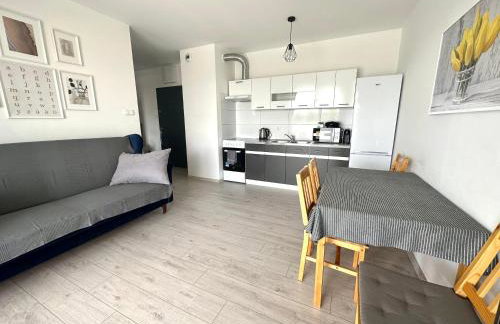 SDH 1 Radzymin comfortable apartment near Warsaw - Foto 6