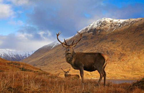 Netherley Rooms - Foto 10