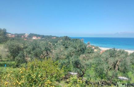 Maria's Paradise - Foto 66