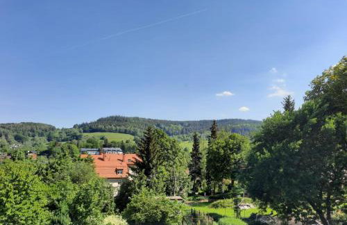 Orlicka Apartament - Foto 10