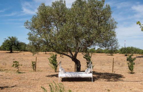 Pensão Agrícola - Foto 29