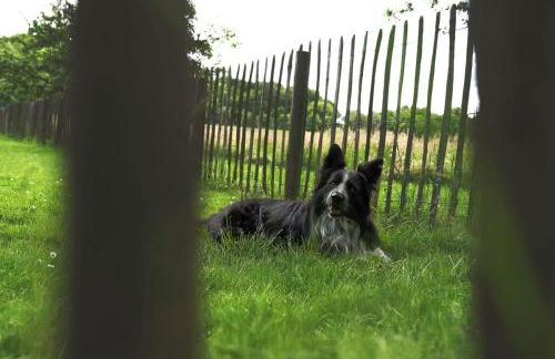 Haus Grün - Foto 15