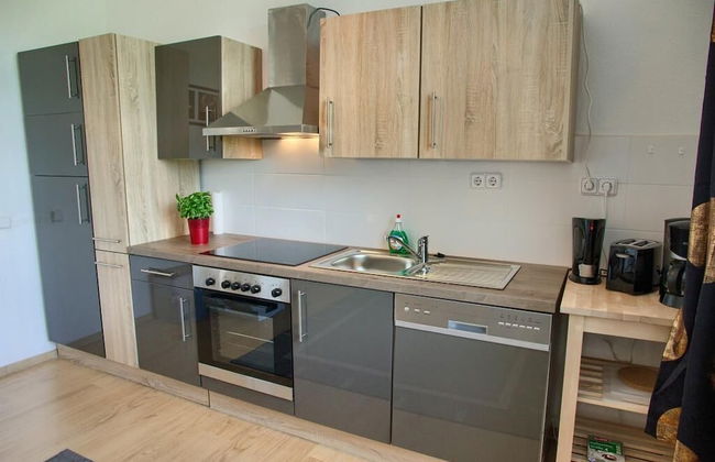 Dresdner-Tag Rosenherz - Foto 11