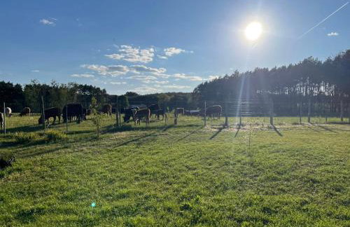 Siedlisko Kochówka - Foto 10