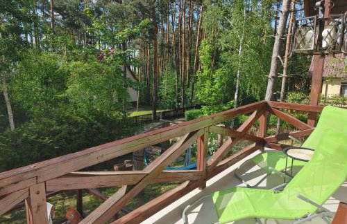 Domek w Borach Tucholskich - Wycinki - Foto 7