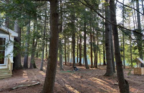 Luxury Forest Lake House - Privacy, Nature, Conveniences - New 2 bedroom - Foto 19