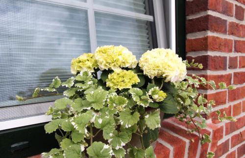 Sielentium - Foto 45