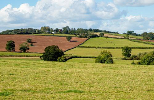 Frith Green - Foto 56