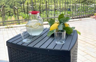 Le Petre - Amalfi Coast Apartments - Foto 32