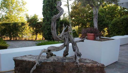 Luxury Villa Christina - Foto 5, Garden