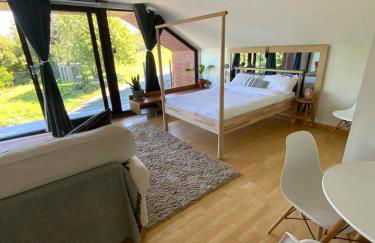 Little Chi - Photo 19