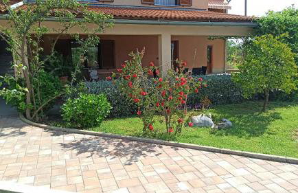 Apartment Nature Pula - Foto 45