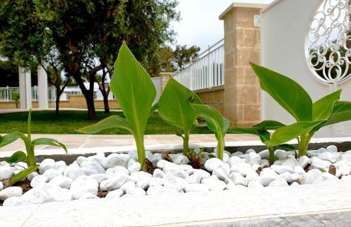 La Baia Apartments - Foto 35