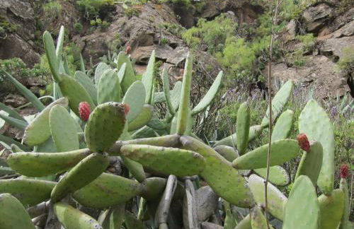 Villa Deluxe Suites Maspalomas - Photo 73