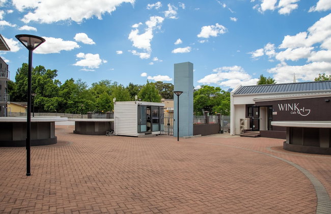 WINK Quiver Tree - Photo 66