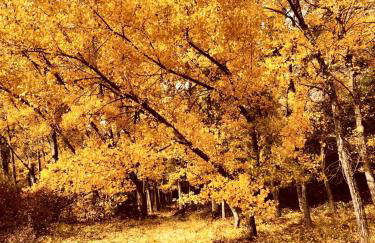 Charming Apartment in Tolva, 50 m², with Terrace - Foto 28