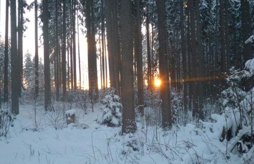 Gästehaus Hundelbach - Foto 50