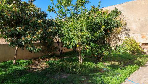 Harmony Country House - Foto 4, Garden