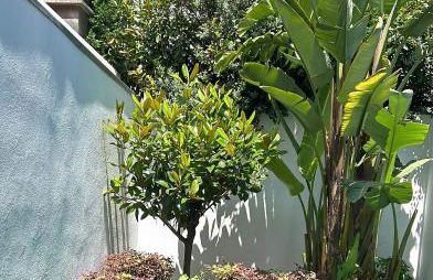 Casa das Falcoeiras - AL com pátio e jardim privados - Foto 13