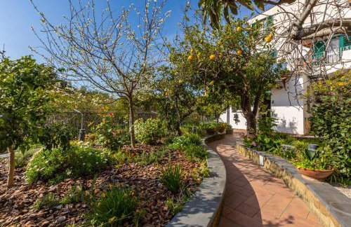 Il Giardino dei Gigli - Foto 4