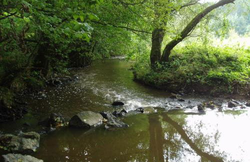 Eifelcottage Stork's Nest - Foto 15