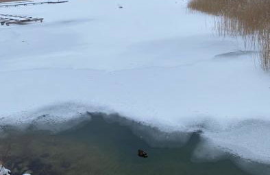 Domek Franianiesulice - Foto 65