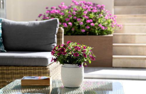 Amalfi - Positano Home & Breakfast - Photo 17