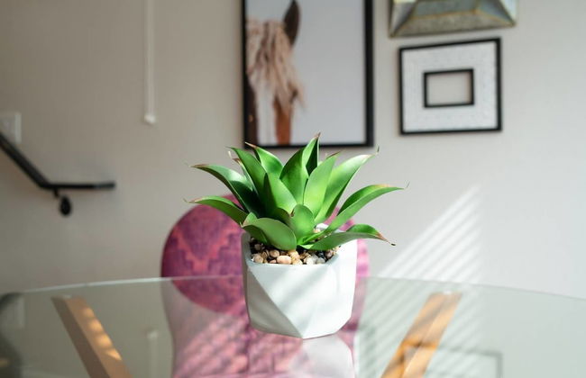 The Mile High Bohemian Retreat Roof Top Views - Foto 29