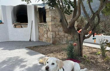 Kareshome-Privacy-view - Photo 26