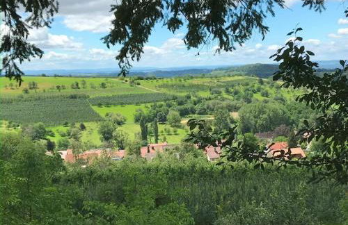 Am Wiiwegli Comfortable holiday residence - Foto 22