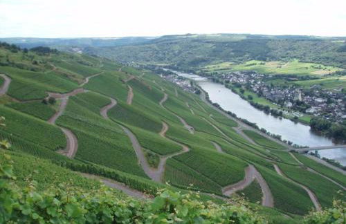 Romantischer Aufenthalt mit Blick auf den Weinberg - Foto 28
