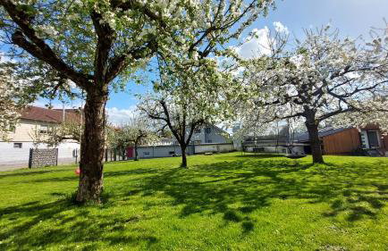 Ferienwohnung Zur Hofreite 6 - Photo 24