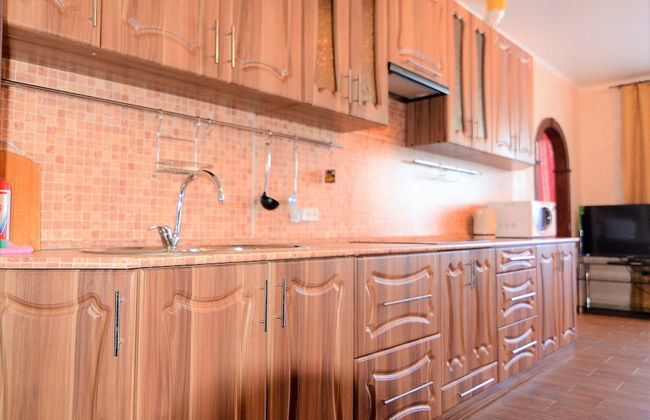 Megapolis Apartments on Moskovsky prospect 112 – apt 547 - Photo 8