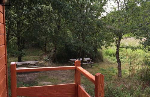 Évasion romantique en roulotte autonome avec confort moderne en pleine nature - FR-1-591-552 - Foto 7