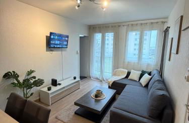 Appartement prestigieux et lumineux proche centre ville - Foto 11