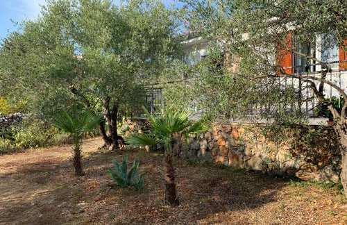 Apartman Ruža - Photo 36