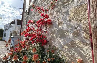 Old stone villa in Apokoronas Villa Nostalgia Kreta - Foto 39