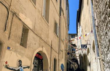 Home Chic Home - La Terrasse Bazille - Photo 111