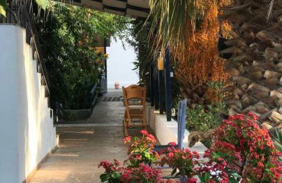 Plumeria Flowery - Foto 23