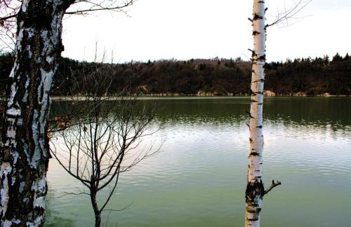 Brama Sanu - z prywatną linią brzegową Jeziora Solińskiego - pomosty - pontony - basen sezonowy - Foto 68