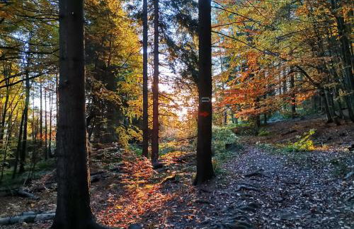 Willa Maja Bieszczady noclegi Bieszczady - Foto 49