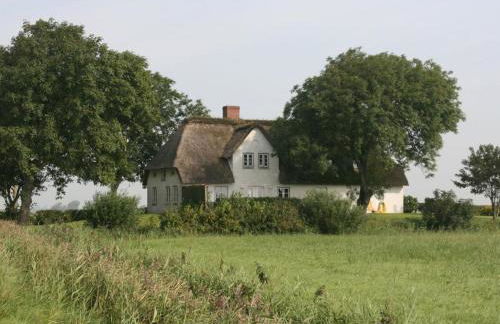 Reetdachhaus-Poppenbüll - Foto 16