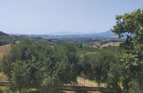 Palme e vigne - Foto 15